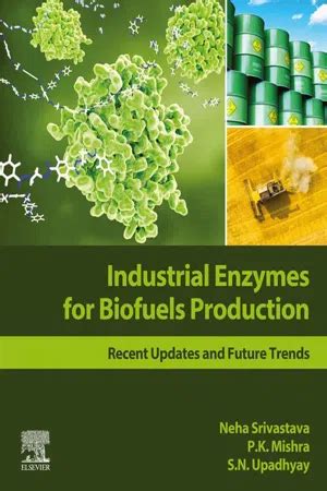 PDF Industrial Enzymes For Biofuels Production By Neha Srivastava