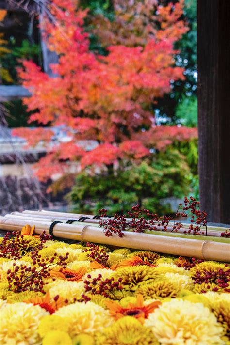 30 Amazing Pictures of Japan in Autumn