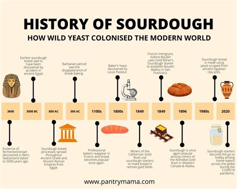 History And Social Aspects Of Sourdough