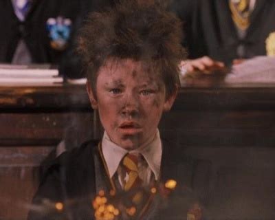 Seamus Finnigan - Harry Potter Wiki - Neoseeker