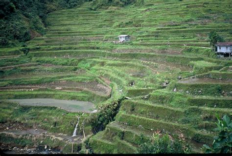 Saan Matatagpuan Ang Rice Terraces J Net Usa