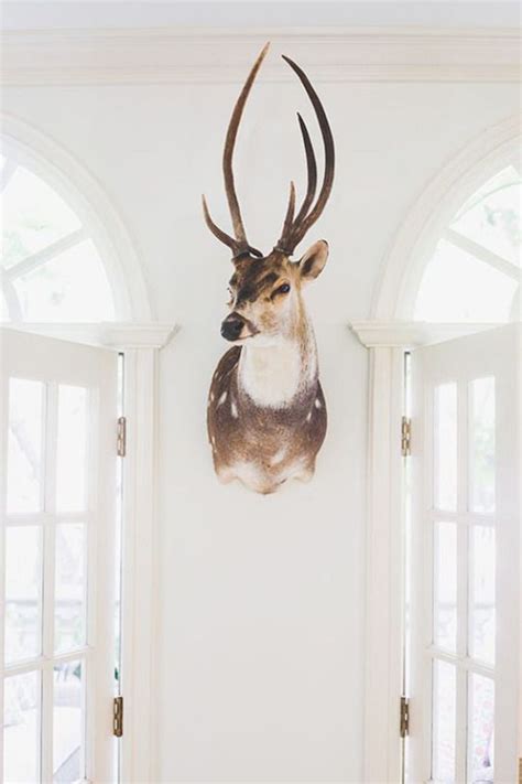 Taxidermy Decor Deer Head Decor House Design