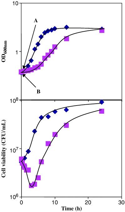 Growth Curves Of Saccharomyces Cerevisiae BY4741 In MM4 Medium Or