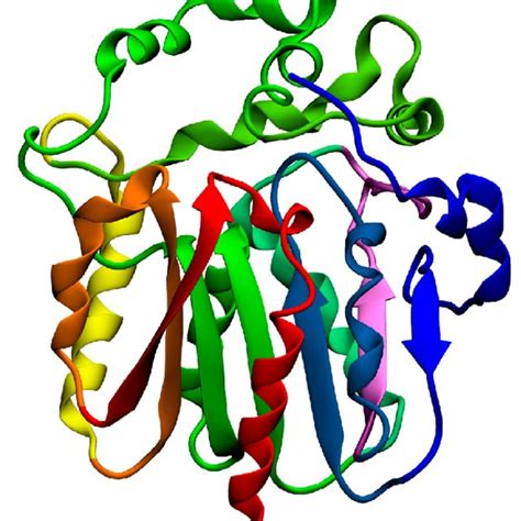 Structure of bacterial luciferase from V. harveyi | Download Scientific ...