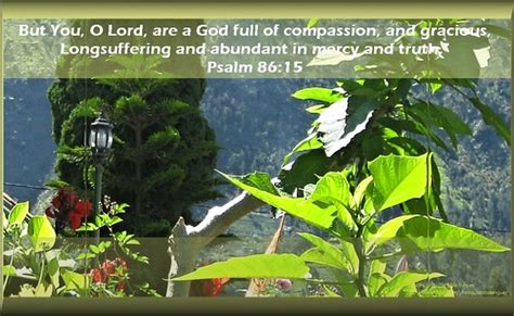 62 Daily Inspirational Bible Verse Psalm 8615 Nkjv Flickr