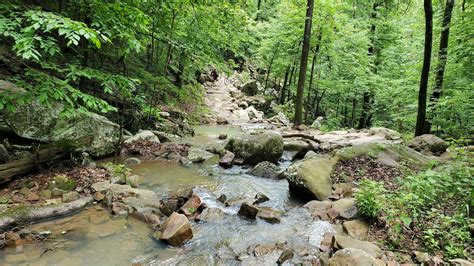 Mount Nebo State Park - Go Wandering