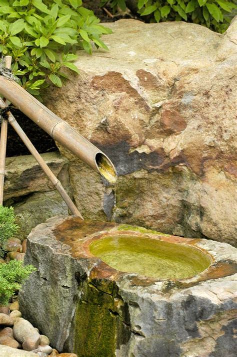 Bamboo Fountain in Zen Garden Stock Photo - Image of bamboo, japan: 527022