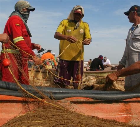 Corporación Venezolana de Alimentos S A Insopesca y Conapdis