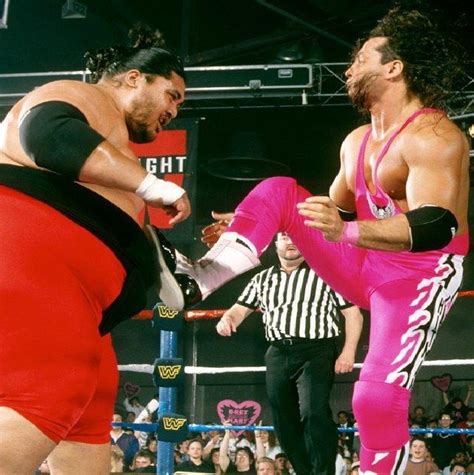 Bret Hart Vs Yokozuna Wrestlemania 10 - Wrestling News Plus