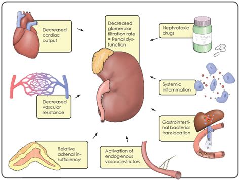 Renal Rash