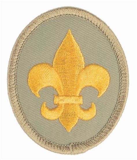 Merit Badges – Scouts BSA Troop 330 Campbell – CA