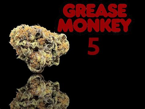 Grease Monkey Strain - Order Online Colorado Springs | Grant Pharms