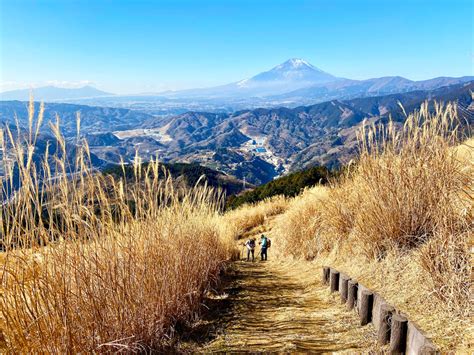 【丹沢の日帰り登山コース】初心者 上級者まで難易度別に紹介します