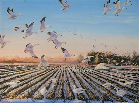 Snow Geese At Sunset Fine Art Painting By Dan Holt