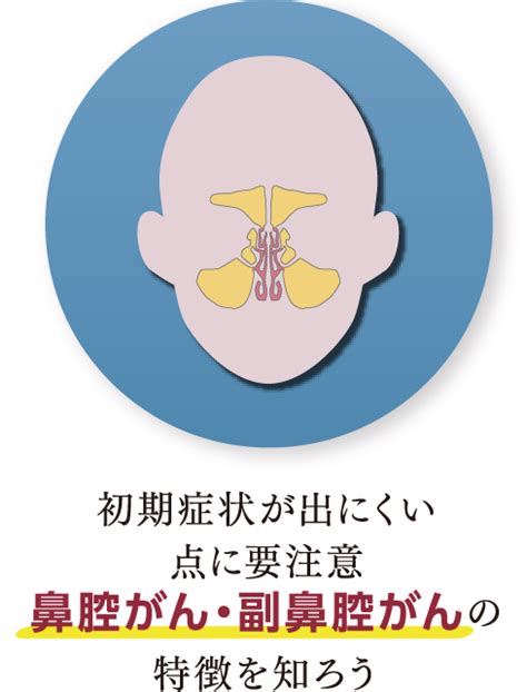 知っておきたい 頭頸部外科・頭頸部がんのこと 一般社団法人 日本耳鼻咽喉科頭頸部外科学会：学会事務局