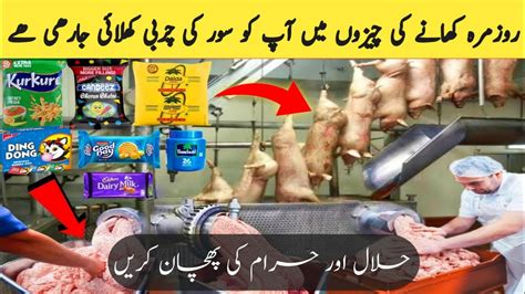 Haram Aur Halal Ki Pehchan Kry Keya Aj Kal App Ko Sovar Ki Charbi