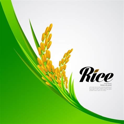 Premium Vector Premium Rice Great Quality Design Rice Background