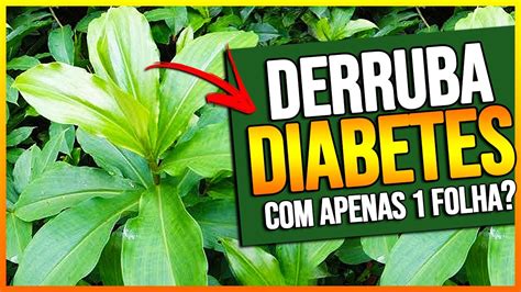 7 PLANTAS QUE DERRUBAM O DIABETES MÉDICO REVELA MELHORES CHÁS PARA