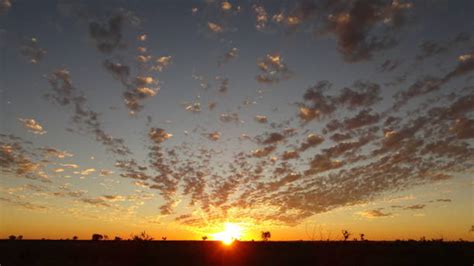 60+ Tanami Desert Stock Photos, Pictures & Royalty-Free Images - iStock