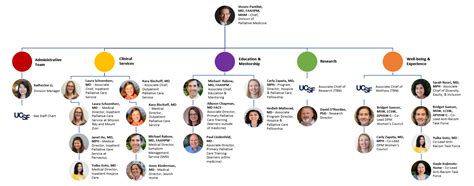 organizational chart leadership palliative medicine