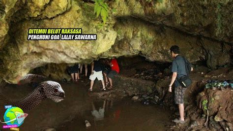 Misteri Belut Raksasa Penunggu Goa Lalay Sawarna Tubuhnya Sebesar