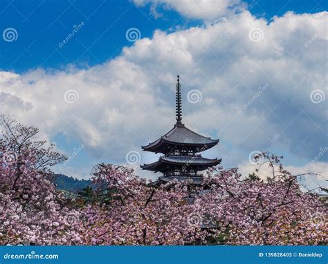 Cherry Blossoms In Front Of Pagoda Of Kofukuji Temple Editorial Stock