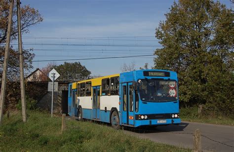 Transport Database And Photogallery Jelcz 120MM 1 02