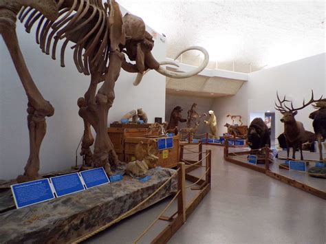 Explore Exhibits - Sternberg Museum of Natureal History