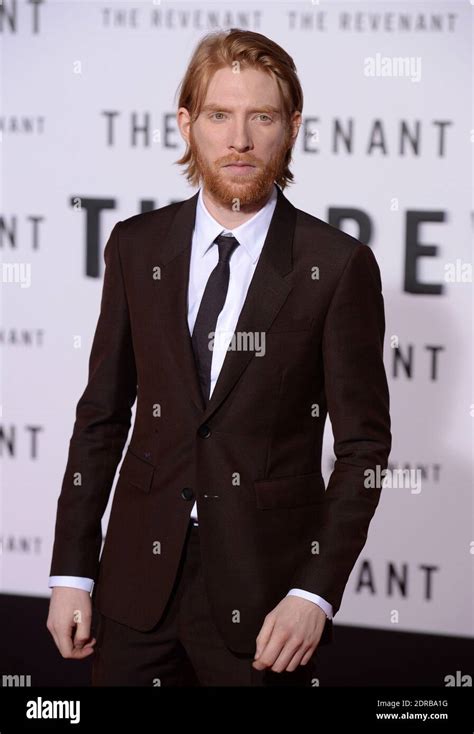 Domhnall gleeson revenant hi-res stock photography and images - Alamy