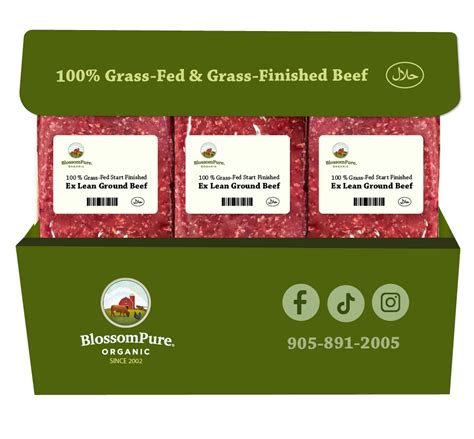 100 Grass Fed And Finished Extra Lean Ground Beef Box 11 Packs Blossompure Organic