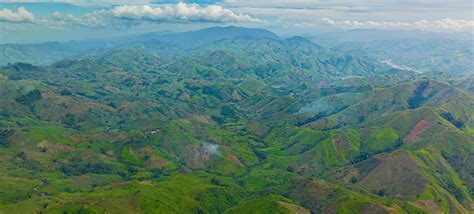 Restoring the Heart of Mindanao Through Reforestation | Terraformation Blog