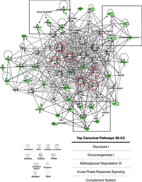 Protein Interaction Network And Top Canonical Pathways From 3d Cc