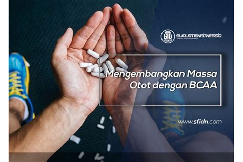 Mengembangkan Massa Otot Dengan Bcaa Sfidn Science From Indonesia Articles