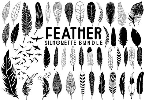 Feather Svg Bundle Birds Feather Svg Feather Silhouette For Cricut