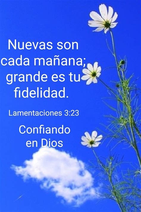 Pin En Oracion Frases Espirituales Texto Biblico De Bendicion Texto