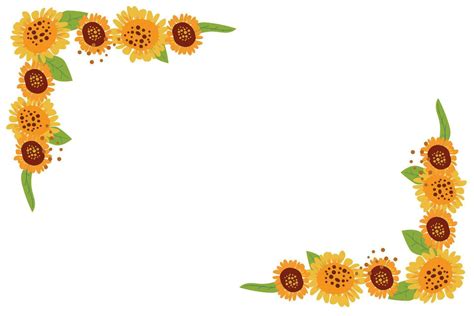 corner border of summer, autumn sunflower flowers 30330737 Vector Art at Vecteezy