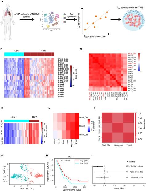 Front Immunol：关键的免疫细胞或能作为肺癌患者疾病预后的重要因素生物科技健康一线资讯