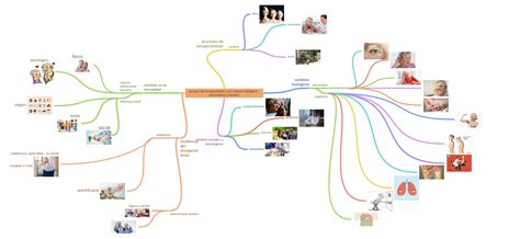 Proceso Del Envejecimiento Y Los Cambios Biológicos Psicológicos Y