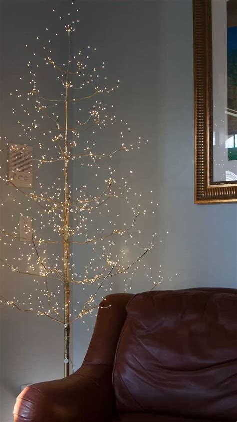 Home Decor Inspiration : Fairy Light Trees! | Fairy lights in trees ...