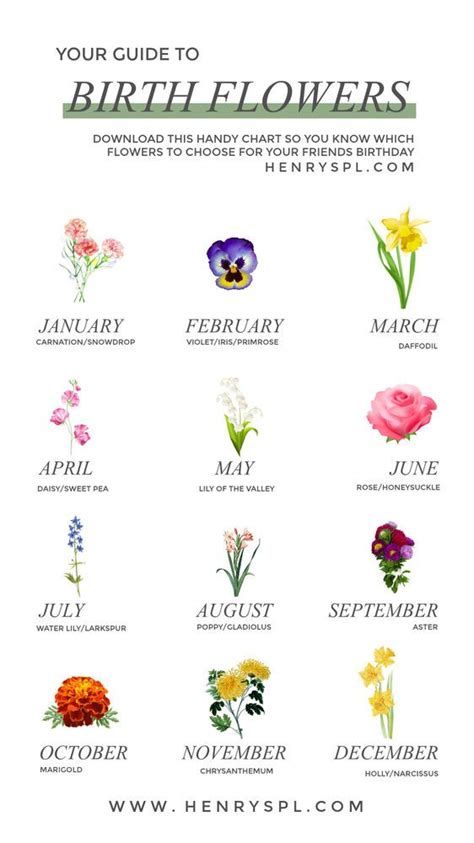 Birth Month Flowers What Is My Birth Flower 44 Off