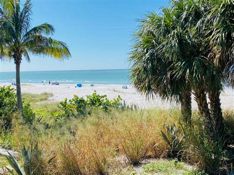 18 Top Rated Best Beaches in St Petersburg, Florida in 2023