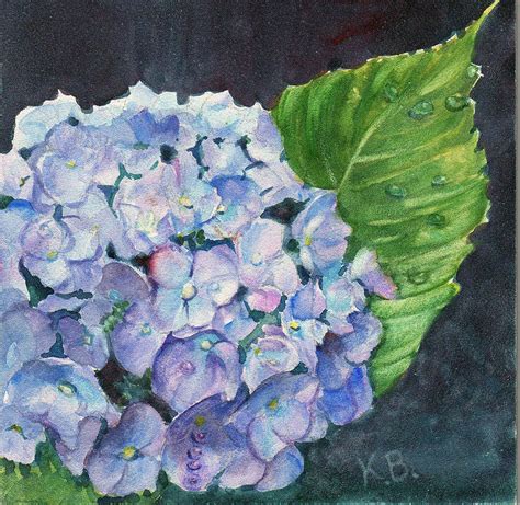 Hydrangea And Water Droplet Painting By Katherine Berlin