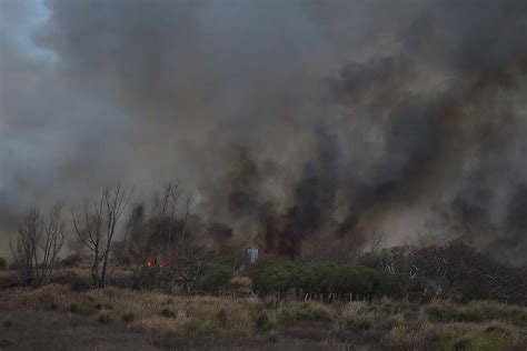 Más De 95 Mil Hectáreas Quemadas El Origen Del Humo Que Afecta A Tres