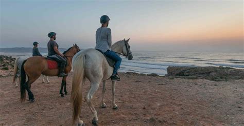 Algarve Passeio A Cavalo Na Praia Manh Ou P R Do Sol Getyourguide