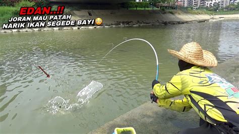 Edan Mancing Di Sungai Liar Dapat Ikan Monster Sampai Bikin Warga