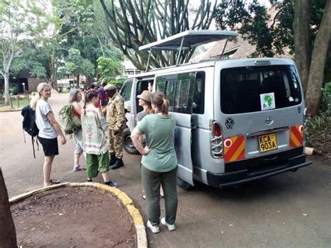 Safari D Une Demi Journ E Dans Le Parc National De Nairobi Getyourguide