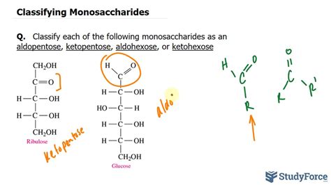 Classifying Monosaccharides Youtube