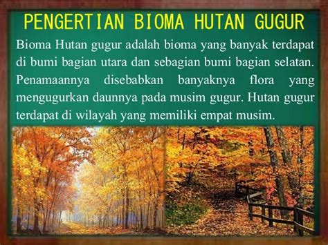 Bioma Hutan Gugur