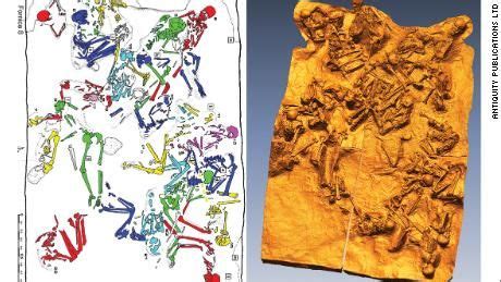 Some Mount Vesuvius victims suffered slowly and one victim's brain ...