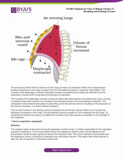 Ncert Solutions For Class Biology Chapter Breathing And Exchange